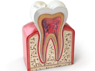 https://www.stefanoudentalclinic.gr/wp-content/uploads/2025/06/IMG_4271-320x240.jpg